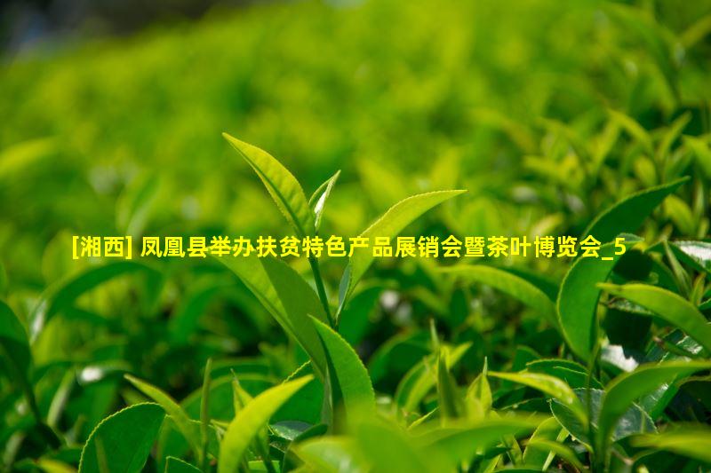 [湘西] 凤凰县举办扶贫特色产品展销会暨茶叶博览会